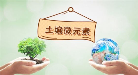 土壤微元素测定.png 土壤微元素测定.png