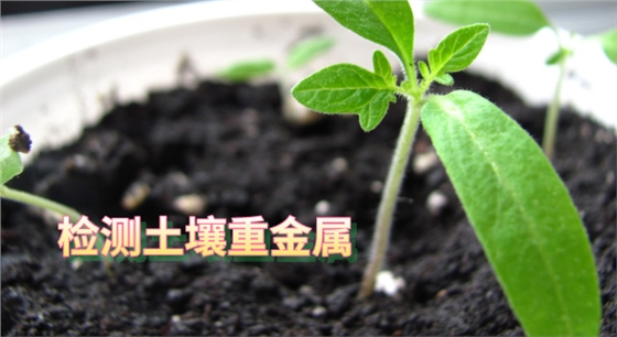 检测土壤重金属.png 检测土壤重金属.png