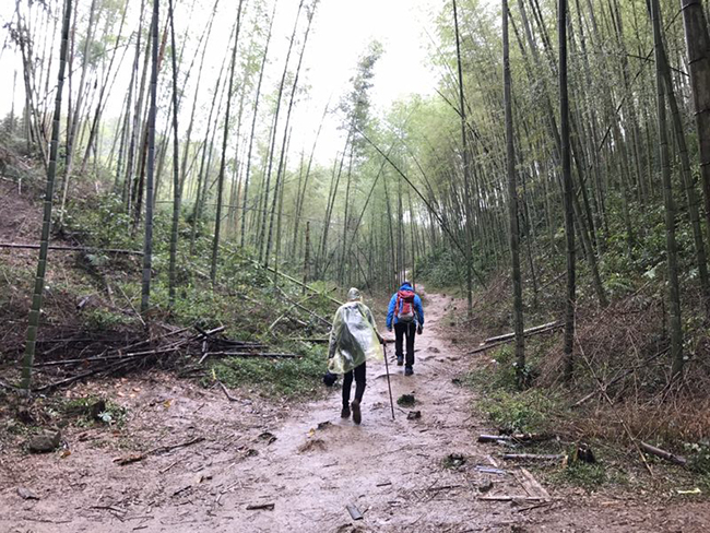 微信图片_20181214152937.jpg 微信图片_20181214152937.jpg