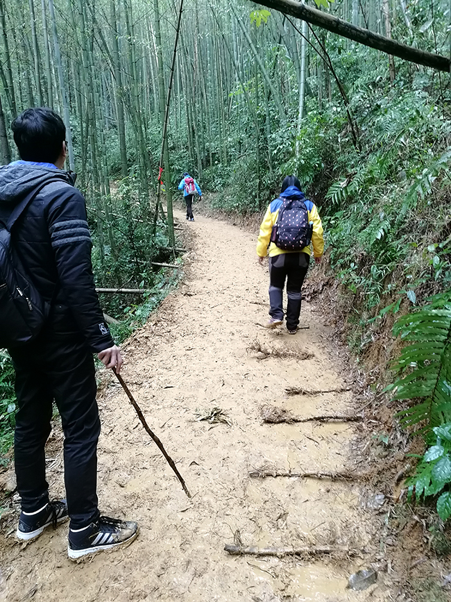 微信图片_20181214153100.jpg 微信图片_20181214153100.jpg