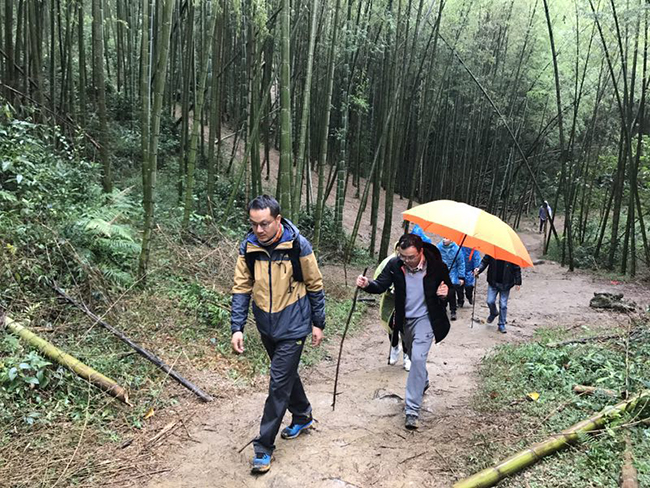 微信图片_20181214152942.jpg 微信图片_20181214152942.jpg