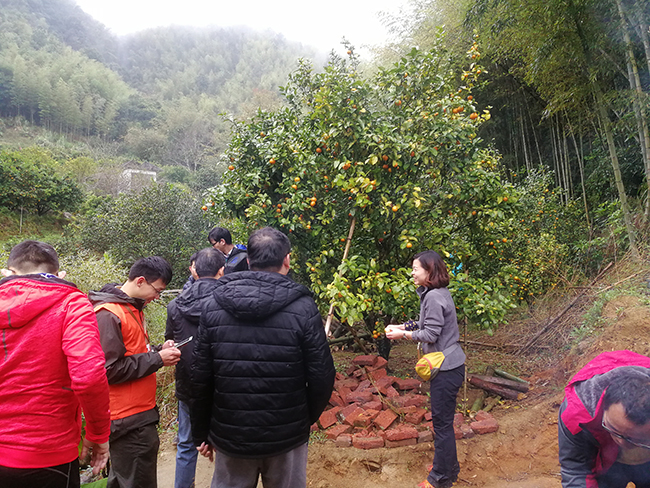 微信图片_20181214153045.jpg 微信图片_20181214153045.jpg