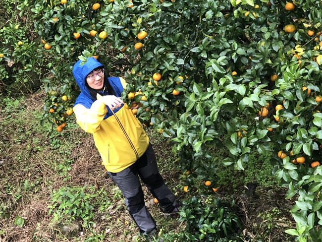 微信图片_20181214163956.jpg 微信图片_20181214163956.jpg