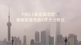 斯派克偏振能量色散X荧光分析仪：PM2.5重金属测定